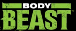 Ultimate Body Beast Worksheets